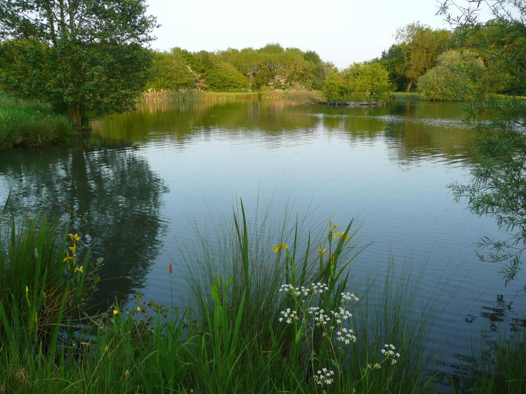 The Grange Bed & Breakfast East Barkwith Bagian luar foto